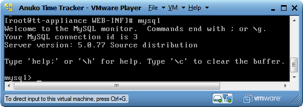 Accessing MySQL console in Time Tracker virtual appliance