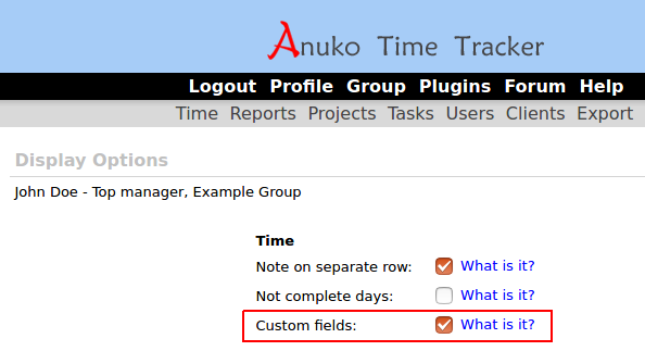 Custom fields in display options