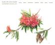 Sue Wickison - Contemporary Botanical Art